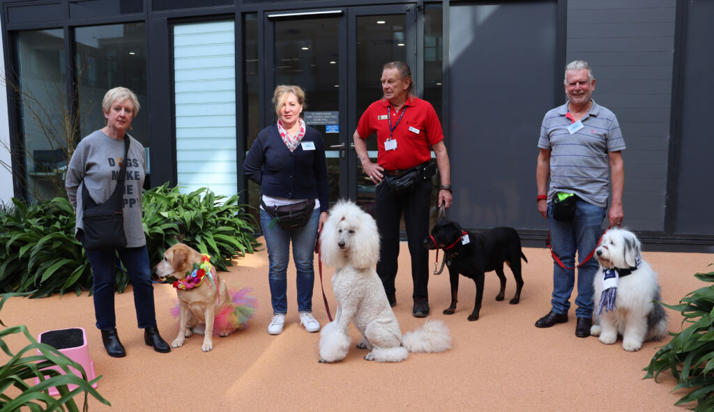 Calvary Kooyong Volunteer group stand in the courtyard at Huntly Suites with their therapy dogs