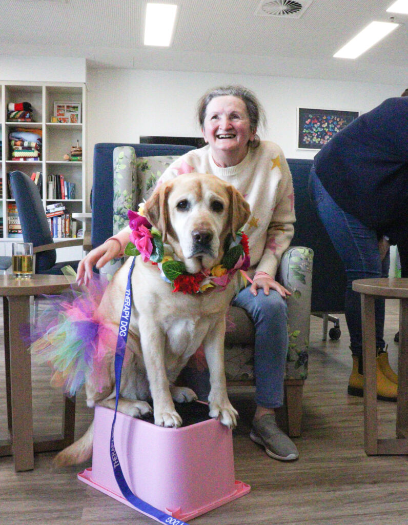 labrador wearing multicolour tutu sits with smiling lady in armchair