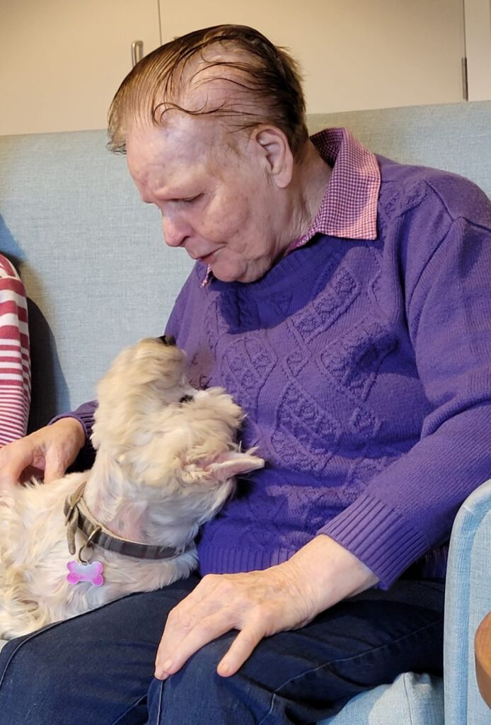 Small white dog looks up at old lady in purple jumper